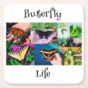 Butterfly Life Square Paper Coaster