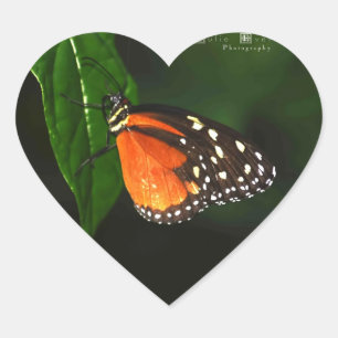 Butterfly Love Stickers