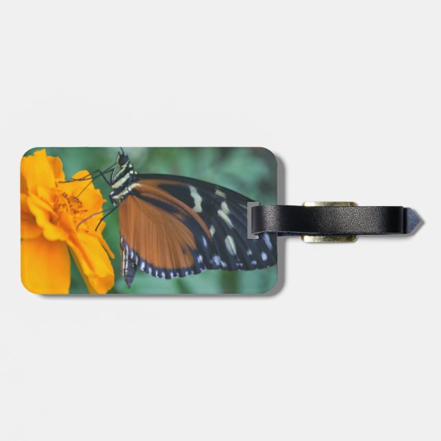 Butterfly Luggage Tag (Back Horizontal)