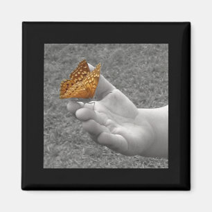 Butterfly Magnet