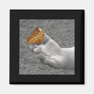 Butterfly Magnet