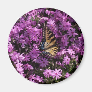 Butterfly Magnet