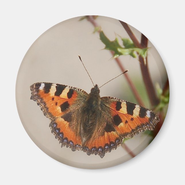 Butterfly Magnet (Front)