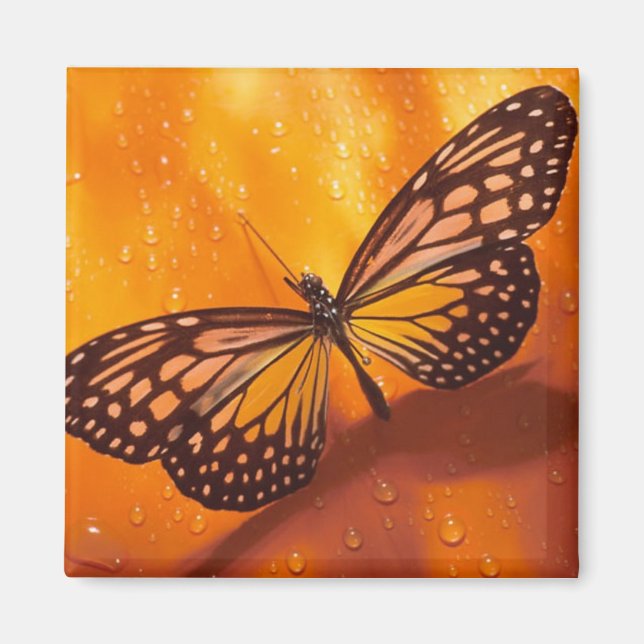 Butterfly Magnet (Front)