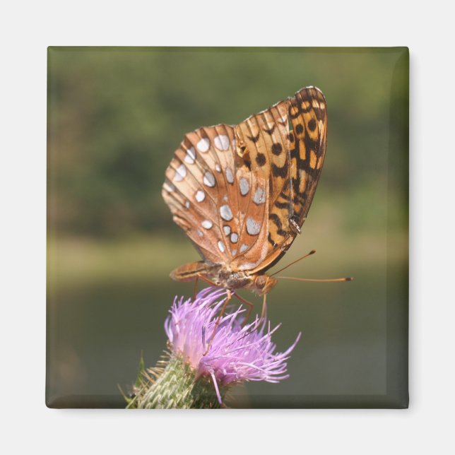 Butterfly Magnet (Front)