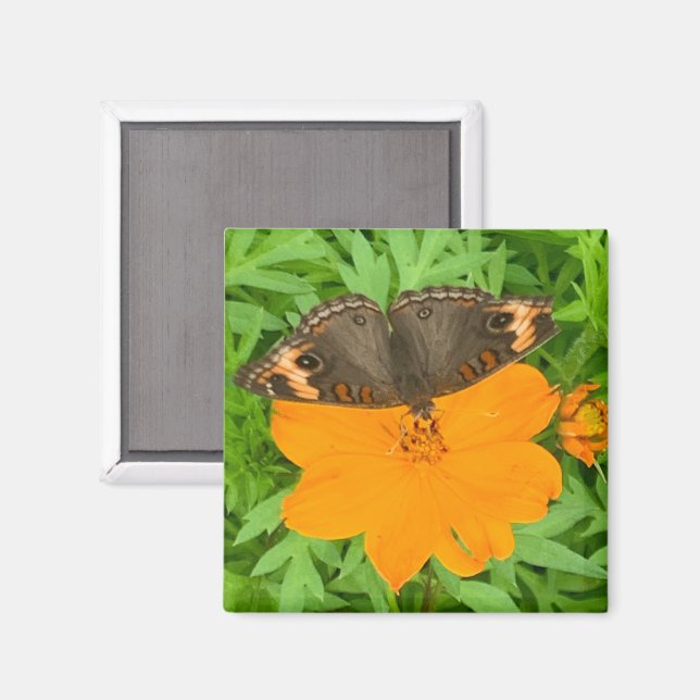 Butterfly Magnet (Front/Back)