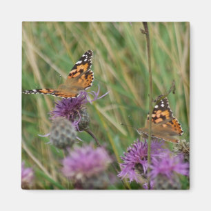 Butterfly Magnet