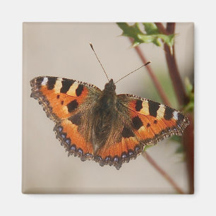 Butterfly Magnet