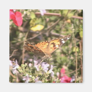 Butterfly Magnet