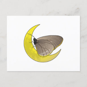 Butterfly Moon Postcard