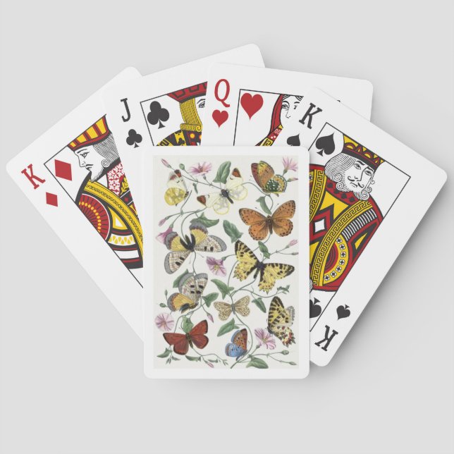 Butterfly & Moth by Paul Gervais Playing Cards (Back)