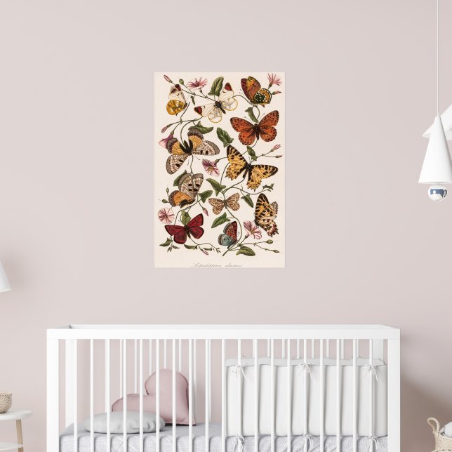Butterfly & Moth by Paul Gervais  Poster (Nursery 2)