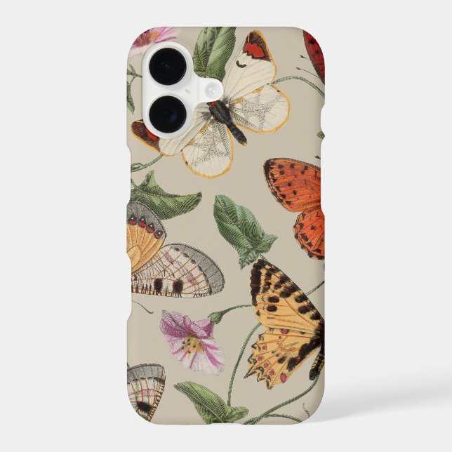 Butterfly Moth Nature Collection Drawing (Back)