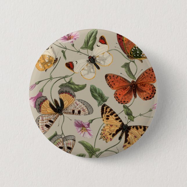 Butterfly Moth Nature Collection Drawing 6 Cm Round Badge (Front)