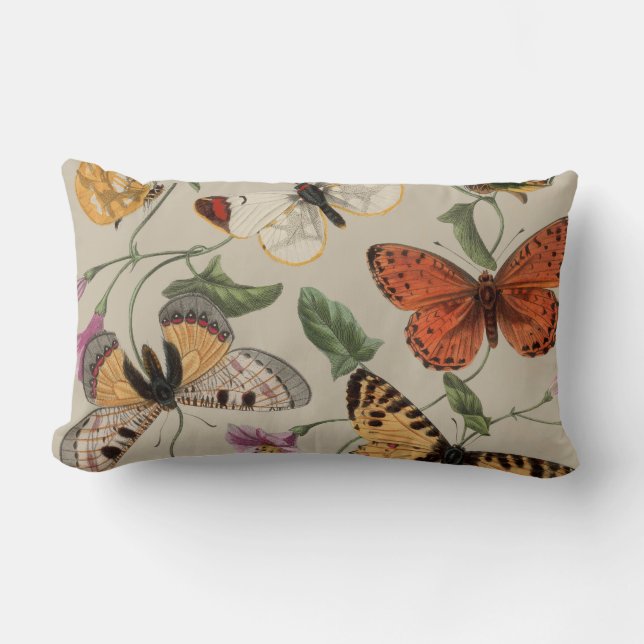 Butterfly Moth Nature Collection Drawing Lumbar Cushion (Front)