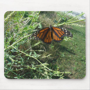 Butterfly Mouse Pad