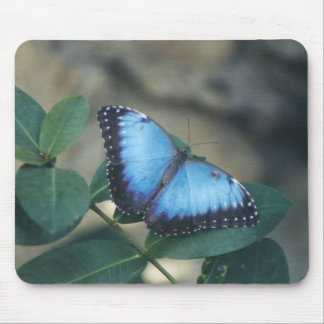 Butterfly Mouse Pad