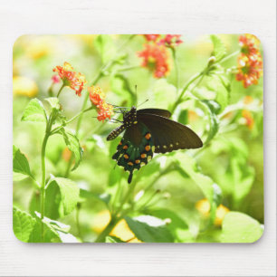 Butterfly Mouse pad