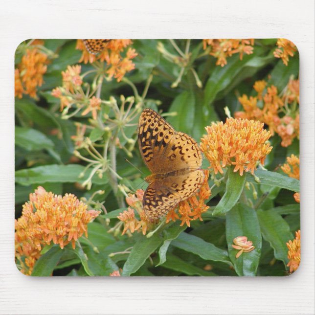 butterfly mouse pad (Front)