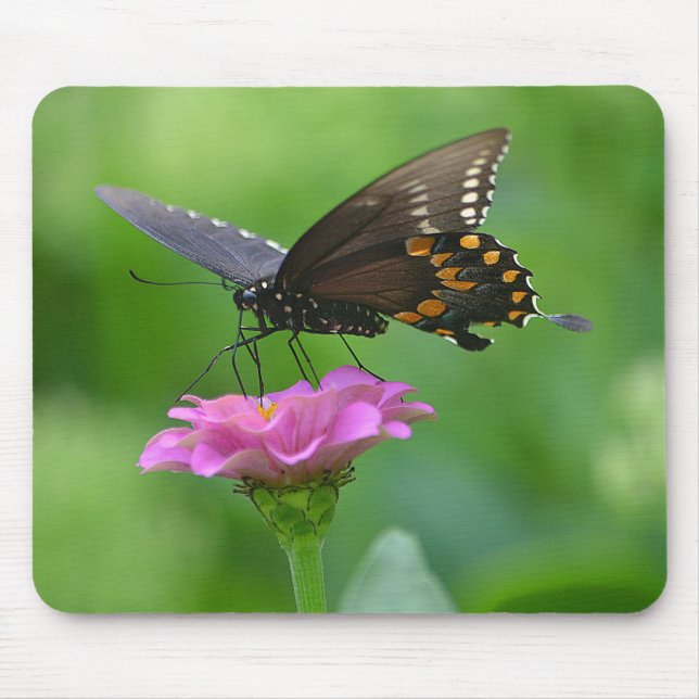 Butterfly Mousepad (Front)