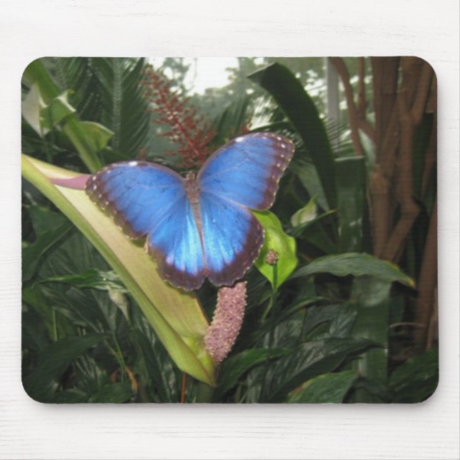 Butterfly Mousepad (Front)