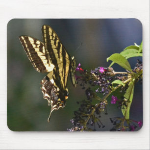 Butterfly Mousepad