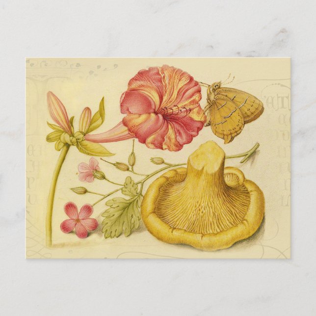Butterfly Mushroom Flower Watercolor Painting Postcard (Front)