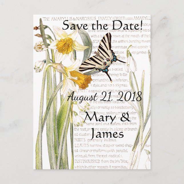 Butterfly Narissus Flowers Save the Date Postcard (Front)