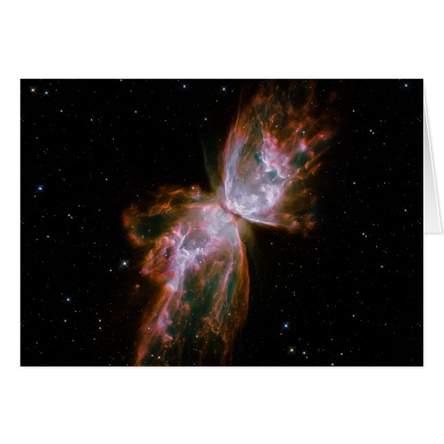 Butterfly Nebula (Front Horizontal)