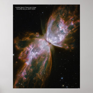 Butterfly Nebula (NGC 6302) poster