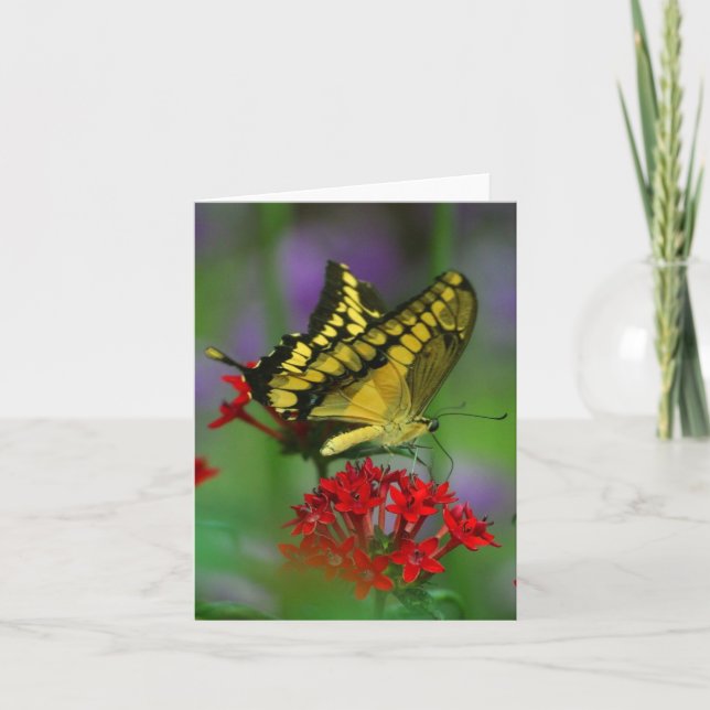 butterfly note card (Front)