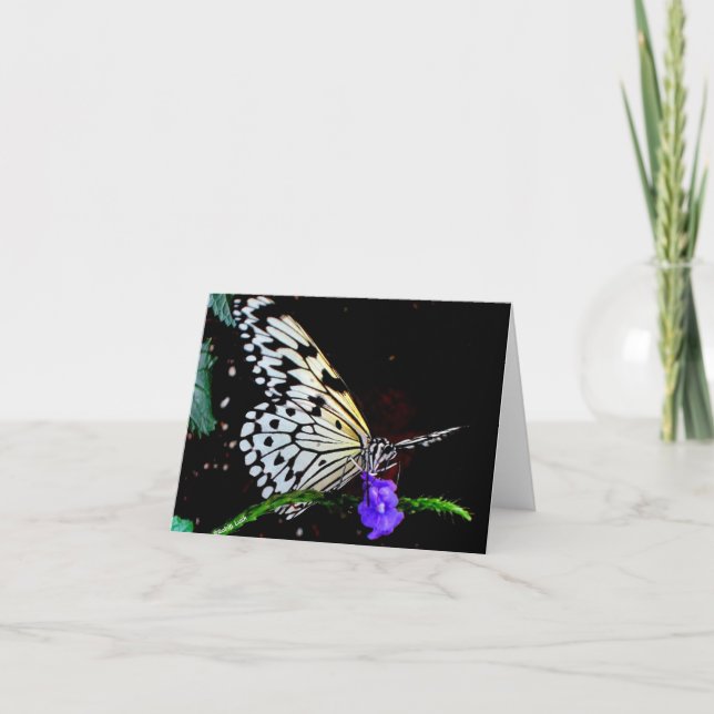 Butterfly Note Card (Front)