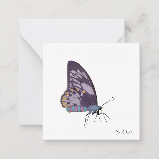 Butterfly  note cards (Front)
