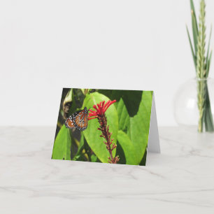Butterfly Note Cards Non-specific