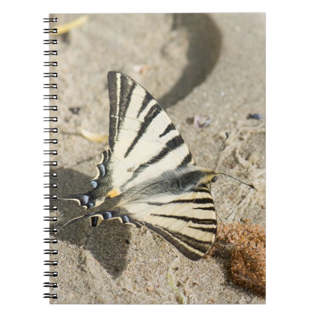 Butterfly Notebook (Front)