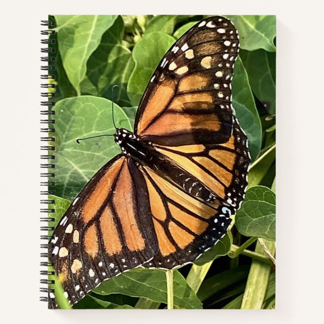 Butterfly Notebook (Front)