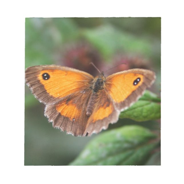 Butterfly Notepad (Front)