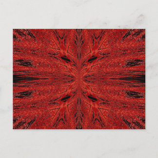 Butterfly Of The Desert Wind Postcard