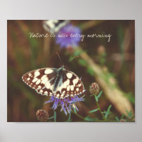 Butterfly on a blue flower