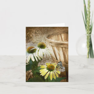 Butterfly On a Cone Flower Card