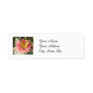 Butterfly on a Pink Zinnia