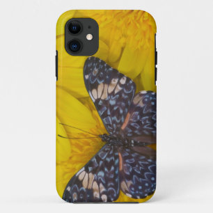Butterfly on a Yellow Flower Case-Mate iPhone Case