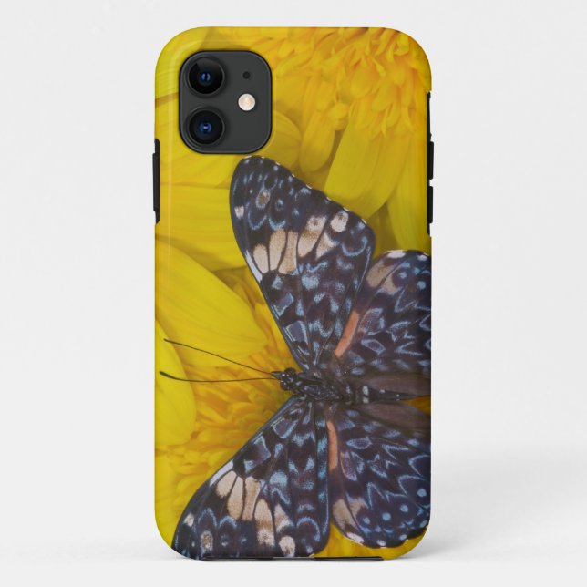 Butterfly on a Yellow Flower Case-Mate iPhone Case (Back)