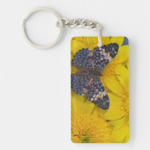 Butterfly on a Yellow Flower Key Ring