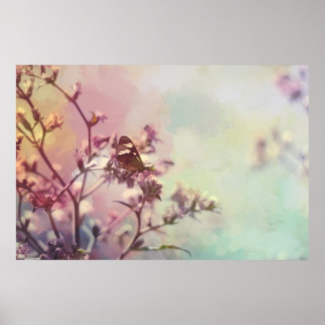 Butterfly on Blossom Branch Poster (Front)