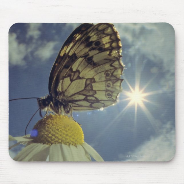 Butterfly on camomile flower with sun, mouse pad (Front)