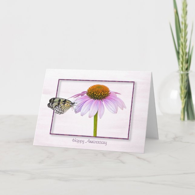 Butterfly on Cone Flower Anniversary Card (Front)