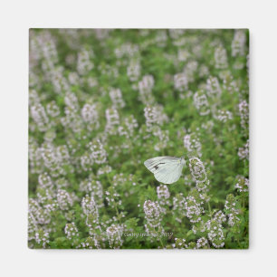Butterfly on Creeping Thyme Magnet