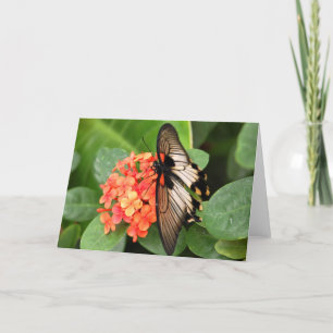 Butterfly on flower card