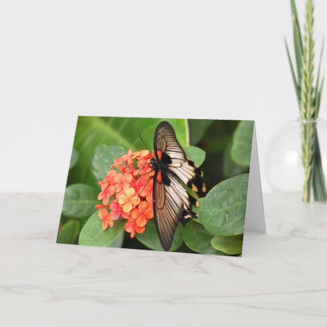 Butterfly on flower card (Front)